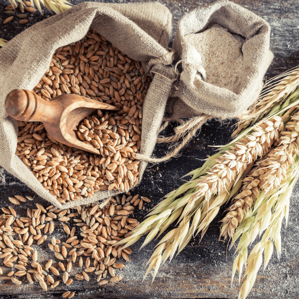 Super Sharbati Wheat Atta